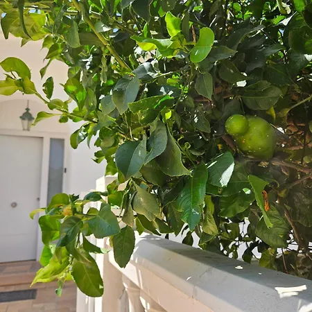 Wellness Farm - Monte Valeo * Coín